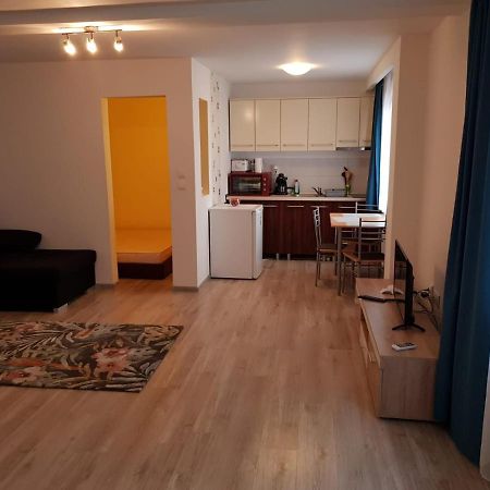 Apartament 1 Central Târgu-Mureş 外观 照片