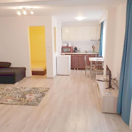 Apartament 1 Central Târgu-Mureş 外观 照片