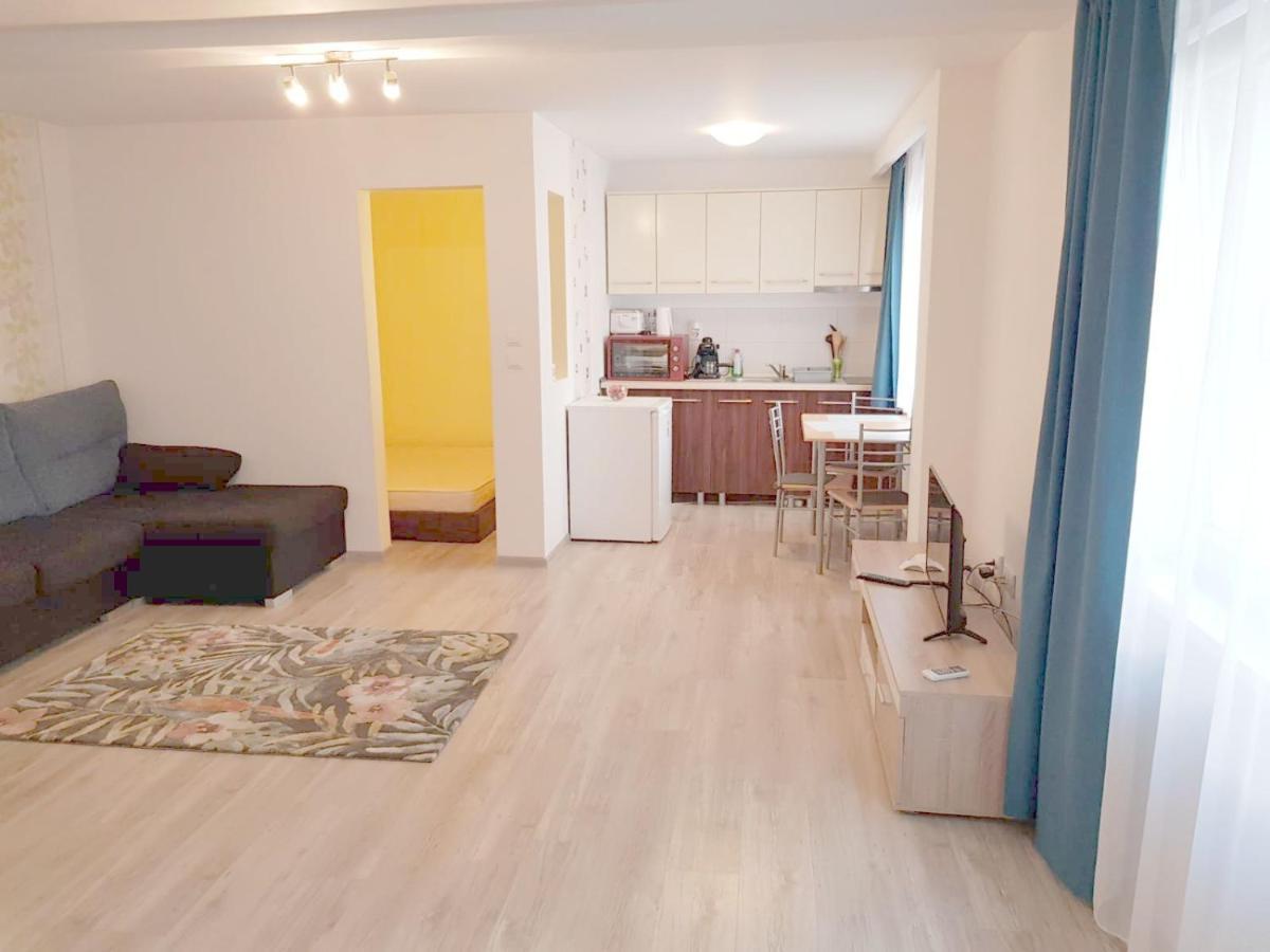 Apartament 1 Central Târgu-Mureş 外观 照片